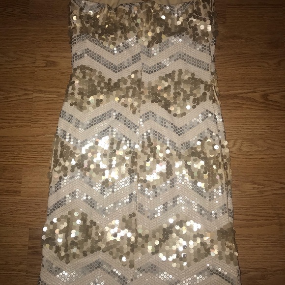 Gold and Silver Sequenced Dress - Picture 3 of 4